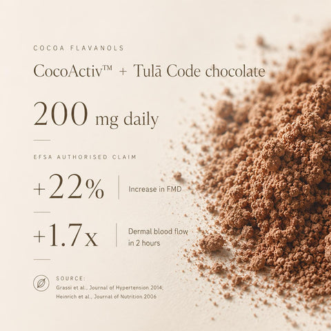 Cocoa Flavanols
