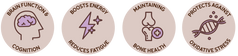 Tulā Code Ltd