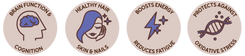 Tulā Code Ltd